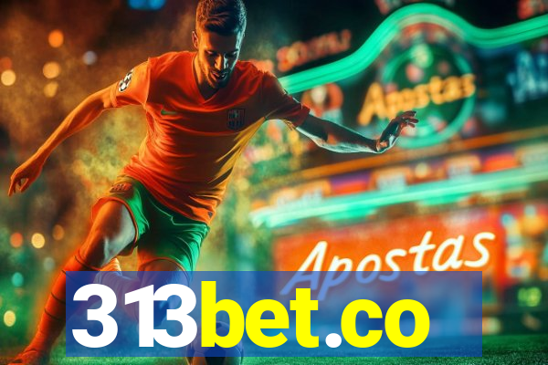313bet.co