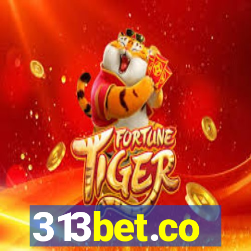 313bet.co
