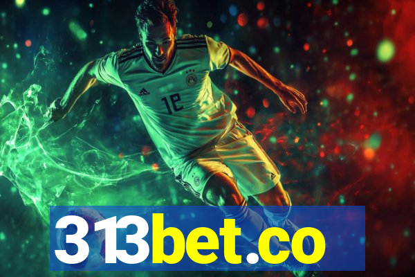 313bet.co