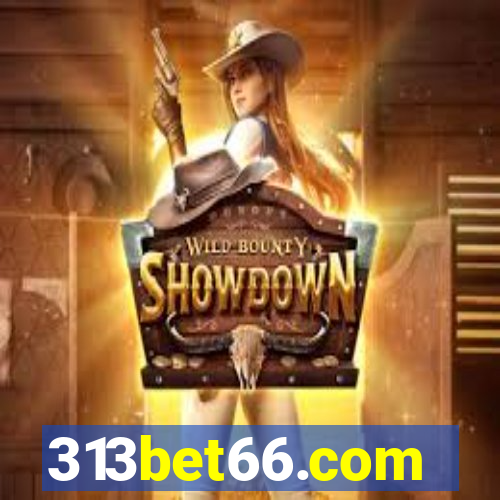 313bet66.com