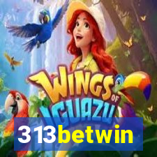 313betwin