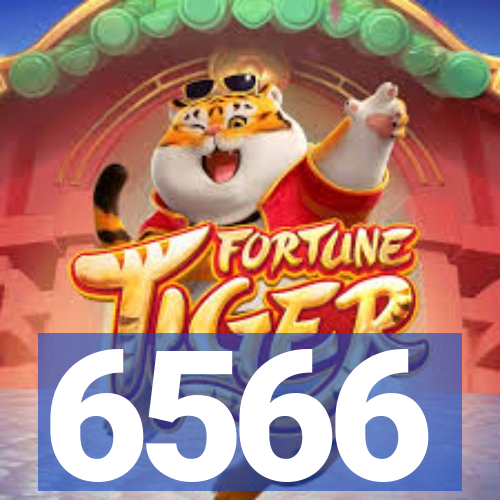 6566