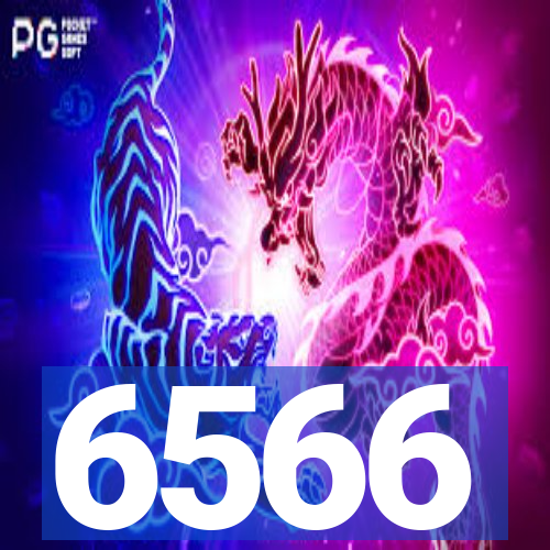 6566