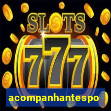 acompanhantesportovelho