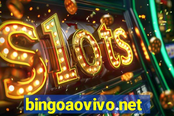 bingoaovivo.net