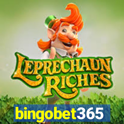 bingobet365