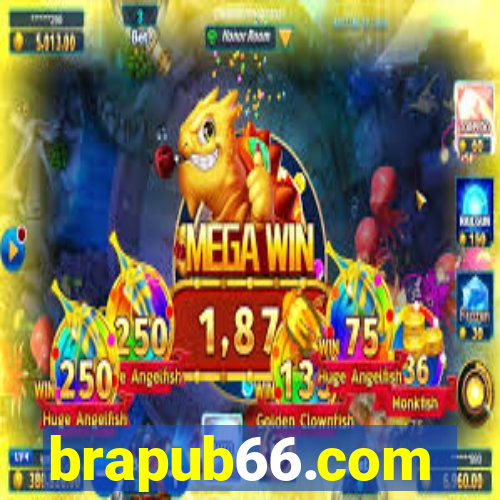 brapub66.com