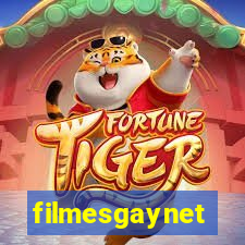 filmesgaynet