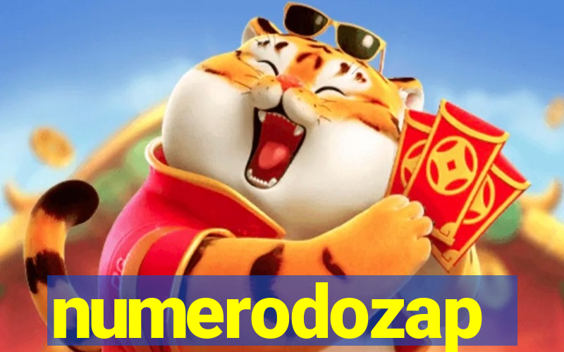 numerodozap