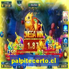 palpitecerto.club