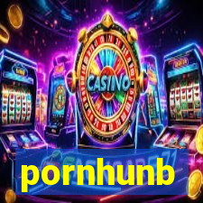 pornhunb