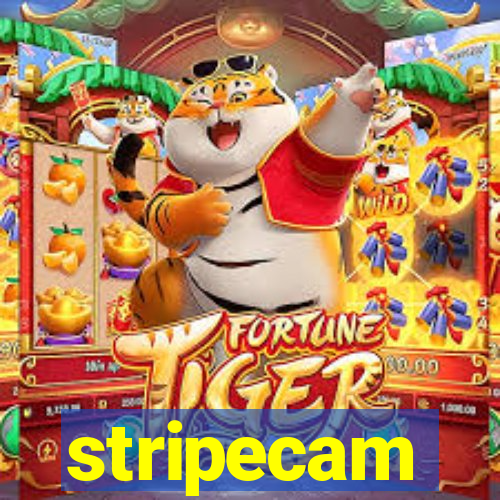 stripecam