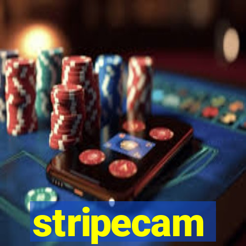 stripecam