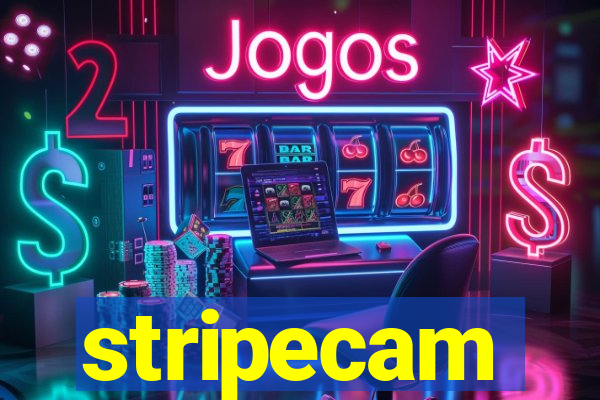 stripecam