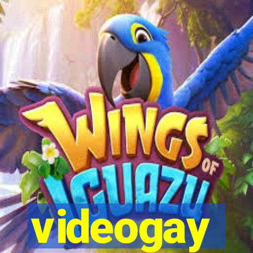 videogay