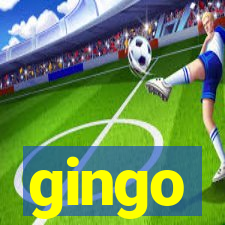 gingo