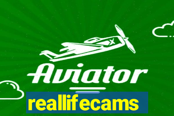 reallifecams