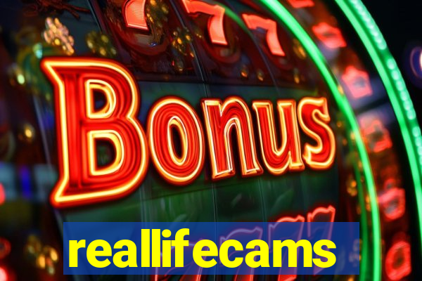 reallifecams